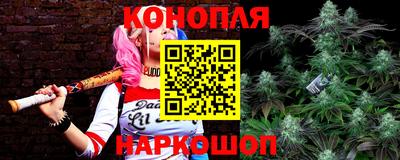 мяу мяу мука Ипатово