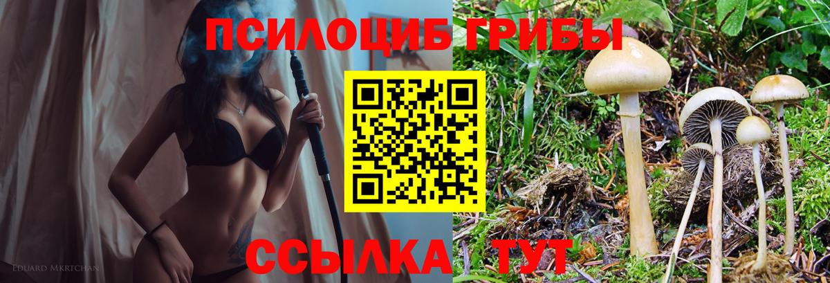 Псилоцибиновые грибы мицелий  Вход с VPN  Мирный 