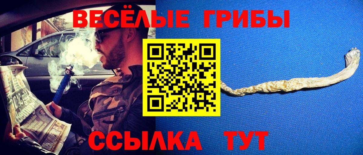Псилоцибиновые грибы Magic Shrooms Мирный